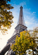 Vertical oriented image famous Eiffel Tower in Paris, France.