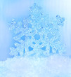 Snowflake in snow.