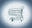 Empty shopping cart