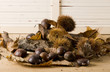 castagne in autunno
