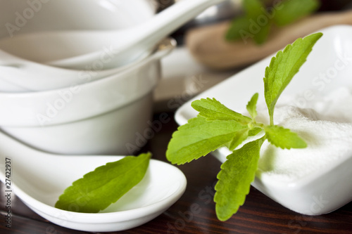 Foto: Stevia Stevia