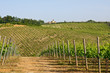 Typical Tuscan landscape Typical Tuscan landscape