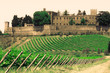 Typical Tuscan landscape Typical Tuscan landscape
