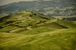 Typical Tuscan landscape Typical Tuscan landscape
