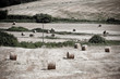 Typical Tuscan landscape Typical Tuscan landscape