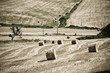 Typical Tuscan landscape Typical Tuscan landscape