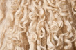White Shipskin