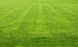 green grass