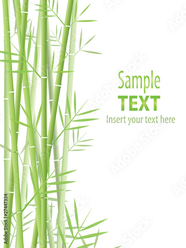 Vector: bamboo vector background bamboo vector background