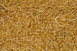 Straw texture