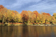 river in autumn
