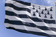Flag of Brittany, France