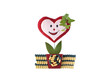 heart cure