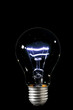 Photo: bulb bulb