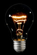 Photo: bulb bulb