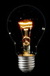 Photo: bulb bulb