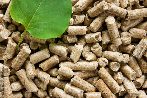 Photo: Wood pellets with a green leaf Wood pellets with a green leaf