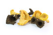 Girolles et trompettes de la mort Girolles et trompettes de la mort