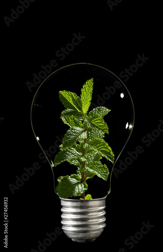 Photo: green energy green energy