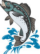 Vector: Jumping trout Jumping trout