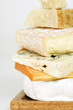 Various types of cheese