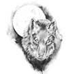 Sketch of tattoo art, wolf