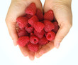 Raspberry on palms
