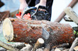chainsaw chainsaw