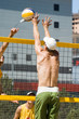 the goal