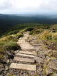 chemin de randonnée dans la montagne