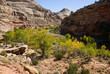 Road through Capitol Reef in Autumn