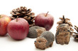 Igel und rote Äpfel Igel und rote Äpfel