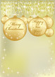 Merry Christmas and Happy New Year greeting card Merry Christmas and Happy New Year greeting card