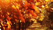 Beautiful, golden autumn. Trees on the wind.