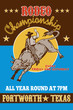 Rodeo Cowboy bull riding poster