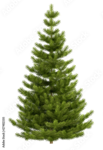 Photo: Christmas tree isolated on white background Christmas tree isolated on white background