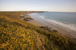 pembroke coast parth