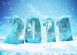 Images : New Year\'s Eve 2011 Ice figures