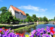 Flowering Uppsala. Sweden Flowering Uppsala. Sweden