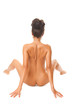 Back