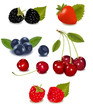 Photo-realistic vector. Group of berries.