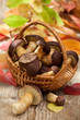 Woods mushrooms in woven basket on wooden  table in autumn
