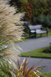 Park Bench with shallow depth of field