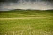 Typical Tuscan landscape