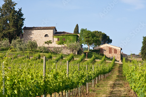 Foto: Typical Tuscan landscape Typical Tuscan landscape