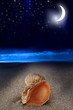 the beach at night