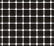 optical illusion