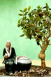 Bonsai