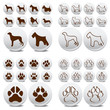 Dog and truck set vector