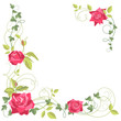 Vektor: Corner piece ornament of roses and scrolls Corner piece ornament of roses and scrolls